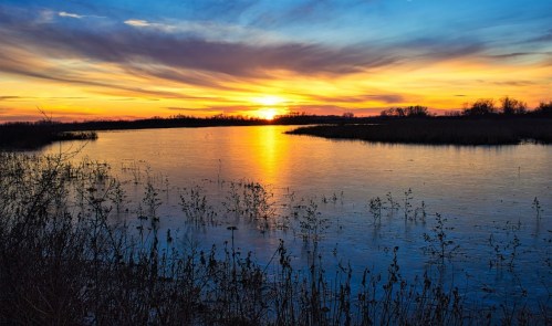 A serene sunset over a calm lake, with vibrant colors reflecting on the water and silhouettes of plants in the foreground.