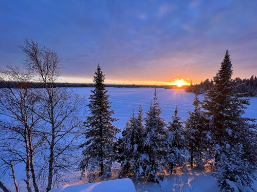A serene winter landscape featuring snow-covered trees and a vibrant sunset over a frozen lake.