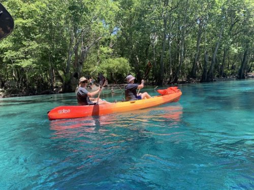 Two people kayaking on a clear blue river surrounded by lush green trees.