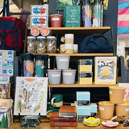 A colorful display of various items including mugs, plants, and craft kits on wooden shelves in a shop.
