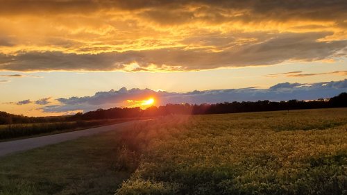 A vibrant sunset over a field, with golden clouds and a winding road in the foreground.