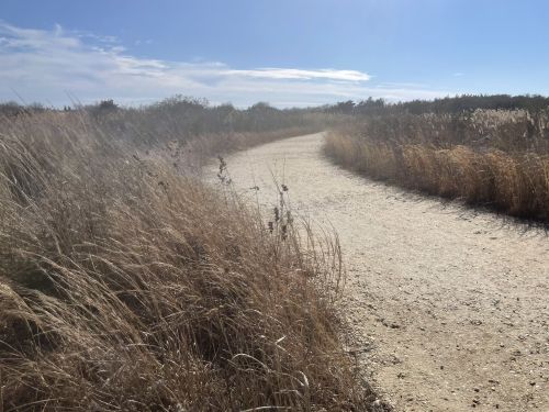 A winding dirt path through tall, dry grass under a clear blue sky.