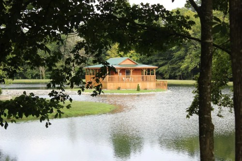 A wooden gazebo on a small island surrounded by a calm pond, framed by lush green trees.