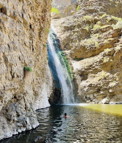 A person stands in a serene pool beneath a waterfall, surrounded by rocky cliffs and lush greenery.