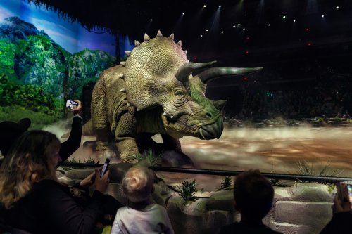A large triceratops animatronic in a show, with an audience watching in awe amidst fog and dramatic lighting.