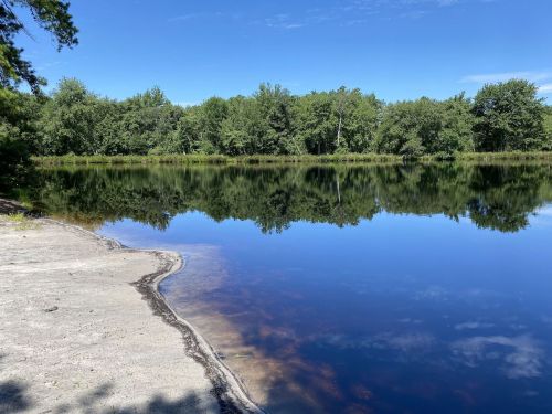 A serene lake surrounded by lush greenery, reflecting the blue sky and trees on its calm surface.
