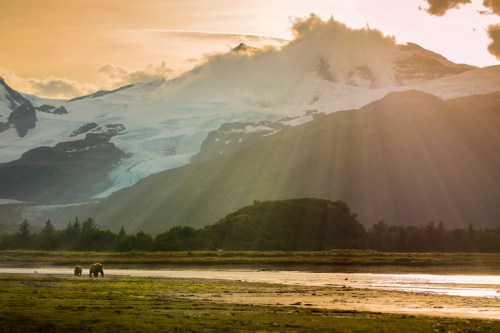 Two bears wander along a riverbank with mountains and a glacier in the background, illuminated by golden sunlight.