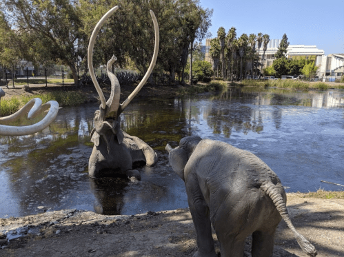 Two elephant sculptures near a pond, one with large tusks, surrounded by trees and a building in the background.