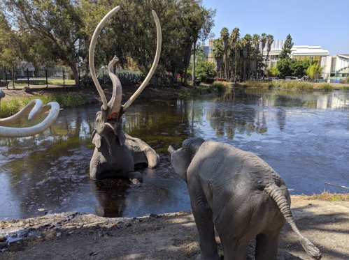 Two elephant sculptures near a pond, one with large tusks, surrounded by trees and a building in the background.