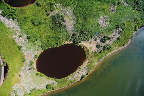 Aerial view of a dark pond surrounded by lush green vegetation and a winding riverbank.