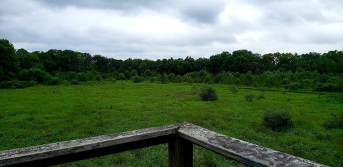 A view of a lush green field surrounded by trees under a cloudy sky, seen from a wooden railing.