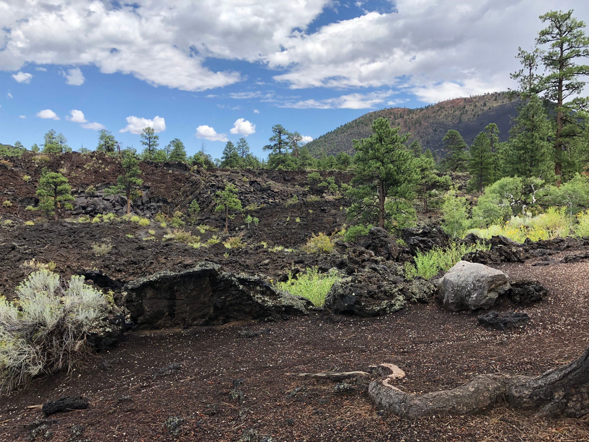 Do The Volcanoes and Ruins Loop Scenic Drive In Arizona ASAP