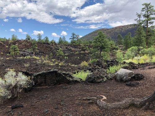 A rugged landscape featuring volcanic rock, scattered greenery, and distant mountains under a partly cloudy sky.