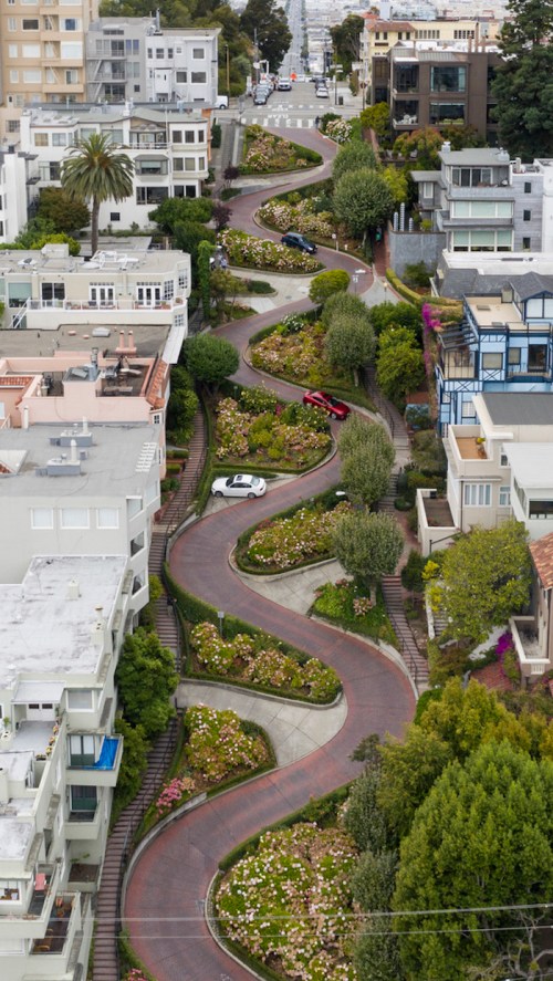 Aerial view of a winding road surrounded by lush greenery and colorful flowers, lined with modern buildings.