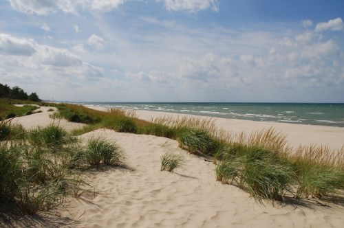A sandy beach with tall grass, gentle waves, and a cloudy blue sky in the background.