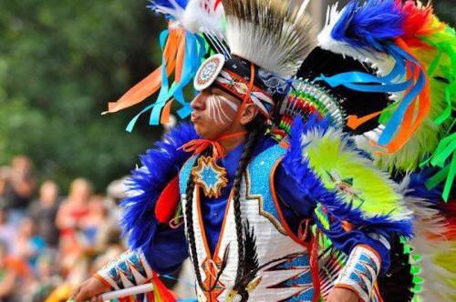 A performer in vibrant traditional attire with feathers and colorful decorations, showcasing cultural heritage at a festival.