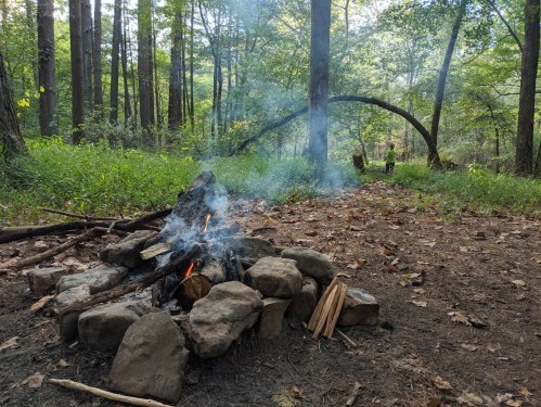 A campfire surrounded by stones, with smoke rising in a serene forest setting filled with trees and fallen leaves.