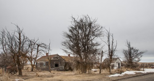 Abandoned houses surrounded by bare trees and dry grass under a cloudy sky. Snow patches on the ground.