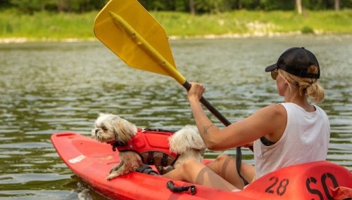 A person in a kayak paddles on a river with a small dog wearing a life jacket beside them.