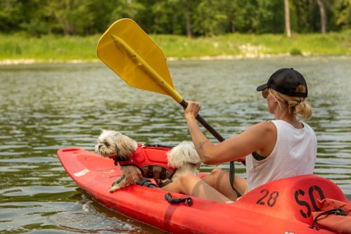 A person in a kayak paddles on a calm river with a small dog wearing a life jacket beside them.