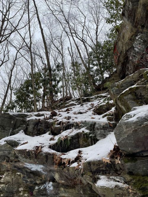 Rocky terrain covered in snow, with bare trees and greenery in the background under a cloudy sky.