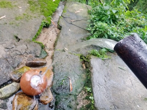 Water flows from a pipe into a clay pot, surrounded by stones and lush greenery.