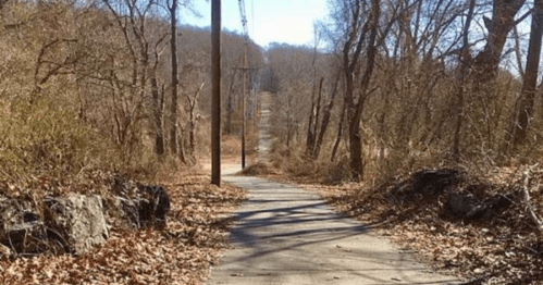 A winding, leaf-strewn path leads through a wooded area, with power lines visible in the distance.