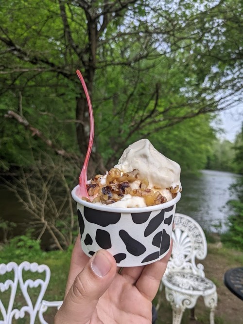 A hand holding a cup of ice cream topped with nuts, near a river surrounded by lush greenery.