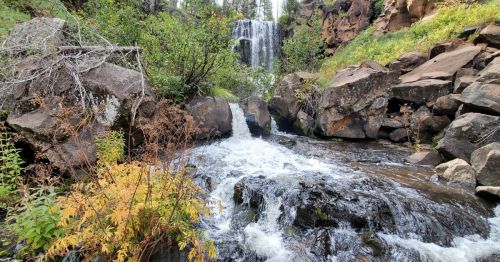 A serene waterfall cascades over rocks, surrounded by lush greenery and autumn foliage.