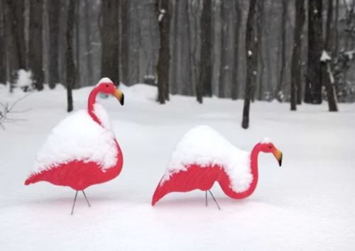 Two pink flamingo lawn ornaments covered in snow, standing in a snowy forest.