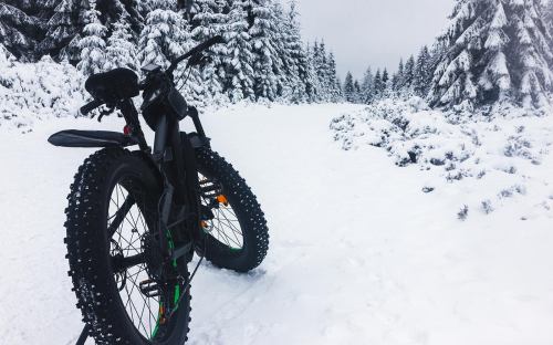 A black fat bike stands on a snowy path surrounded by snow-covered trees.