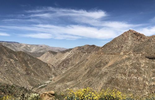 A scenic view of rugged mountains and valleys under a blue sky, with wildflowers in the foreground.