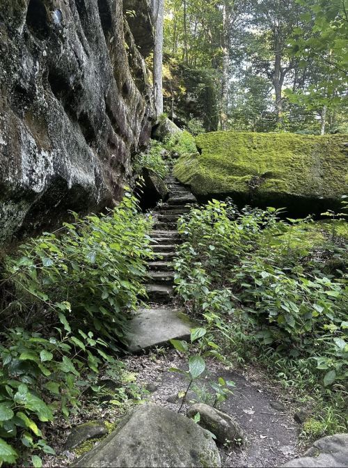 A stone staircase leads through lush greenery and moss-covered rocks in a serene forest setting.
