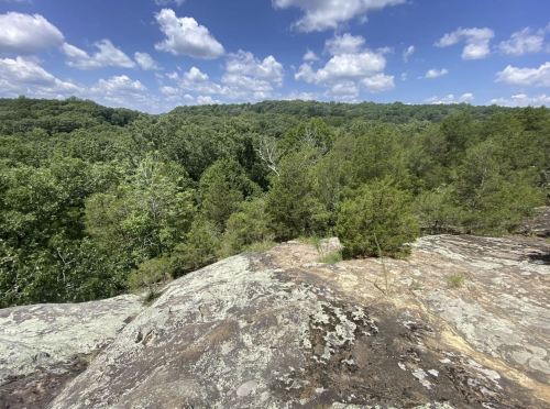 A rocky outcrop overlooks a lush green forest under a bright blue sky with fluffy white clouds.