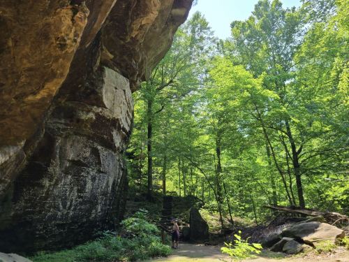 A person stands near a large rock formation surrounded by lush green trees on a sunny day.