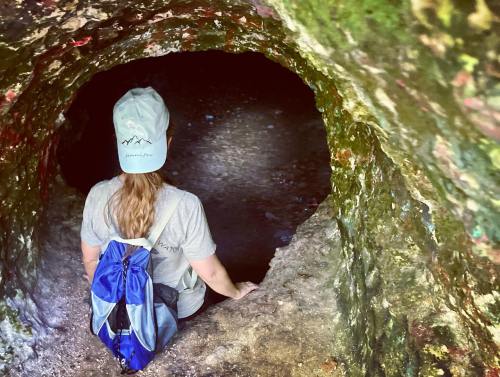 A person with a backpack sits at the entrance of a dark cave, surrounded by rocky walls and greenery.