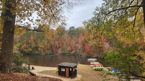 A serene lakeside scene with colorful autumn foliage, a small cabin, and kayaks on the shore.