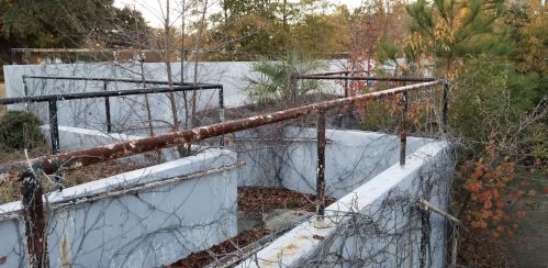 Overgrown, abandoned structure with rusted railings and vines, surrounded by trees and autumn foliage.