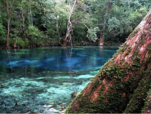 A serene blue spring surrounded by lush greenery and moss-covered trees, reflecting nature's tranquility.