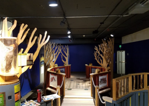 A museum exhibit featuring wooden tree structures and informational displays in a dimly lit space.