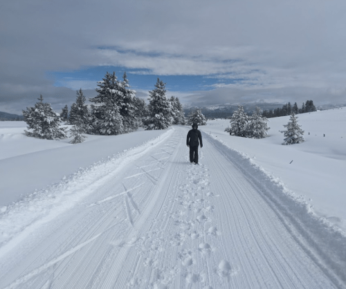 A person walks down a snowy path surrounded by trees under a cloudy sky.