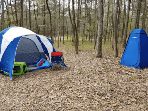 A blue and white tent with a chair and cooler nearby, set in a wooded area with fallen leaves. A privacy tent is also visible.