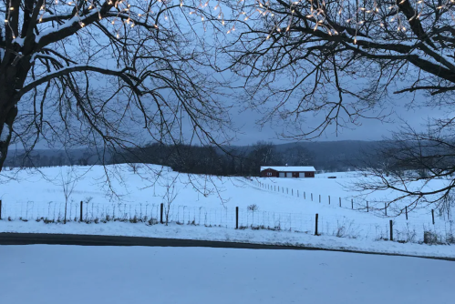 A snowy landscape at dusk, featuring a wooden cabin and bare trees against a cloudy sky.