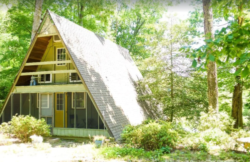 A-frame cabin nestled in a lush green forest, surrounded by trees and shrubs.