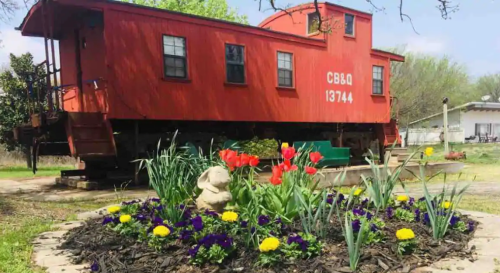 A bright red caboose sits beside a flower bed with tulips and pansies, surrounded by greenery and a residential area.