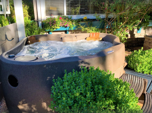 A hot tub with bubbling water surrounded by greenery and colorful flowers in a sunny outdoor setting.