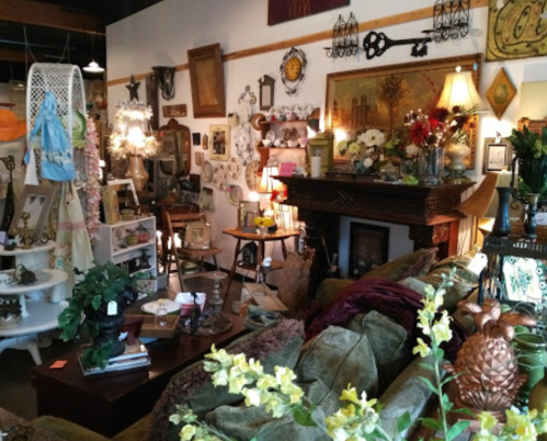 A cozy vintage shop filled with eclectic decor, furniture, and plants, creating a warm and inviting atmosphere.