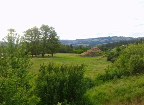 A serene landscape featuring green fields, trees, and a distant hill under a cloudy sky.