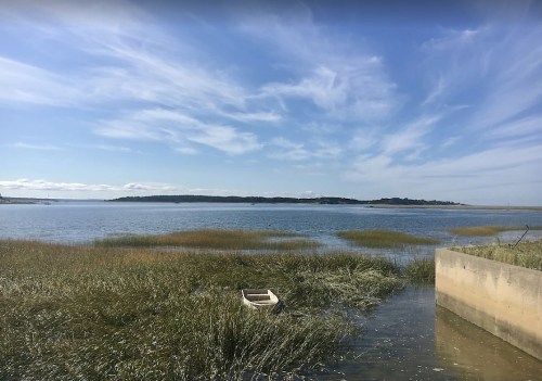 A serene coastal scene with a small boat in shallow water, surrounded by tall grasses and a blue sky with wispy clouds.