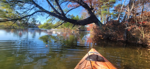 A kayak glides through calm waters, surrounded by trees and autumn foliage under a clear blue sky.